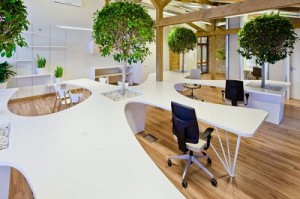 Văn phòng xanh độc đáo